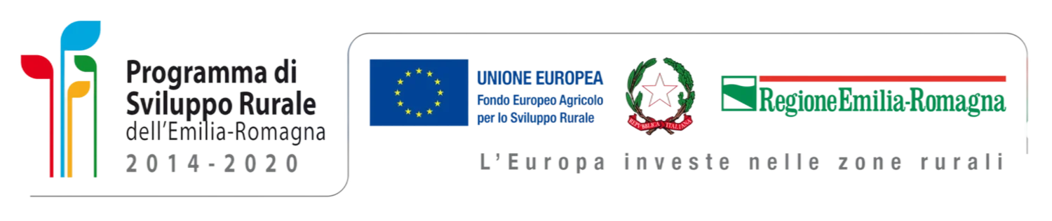 Aife filiera italiana foraggi 26