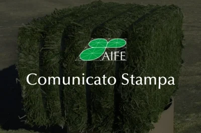 Comunicato stampa 67